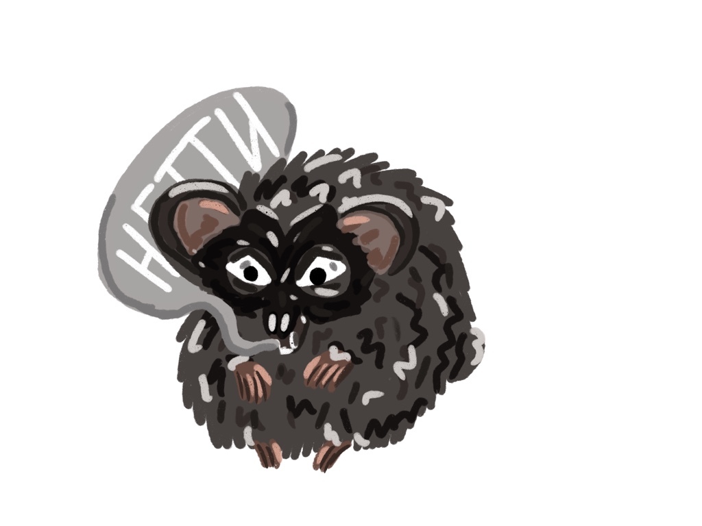 Optimized 741aa691 8cd3 4336 b0ac 5310ef673da9