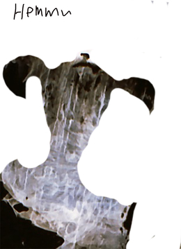 Preview %d0%a4%d0%be%d1%82%d0%be%d0%b3%d1%80%d0%b0%d1%84%d0%b8%d1%8f 2 %d0%ba%d0%be%d0%bf%d0%b8%d1%8f